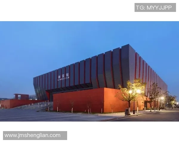 南京极限运动队整体表现分析及其对运动发展的影响探讨